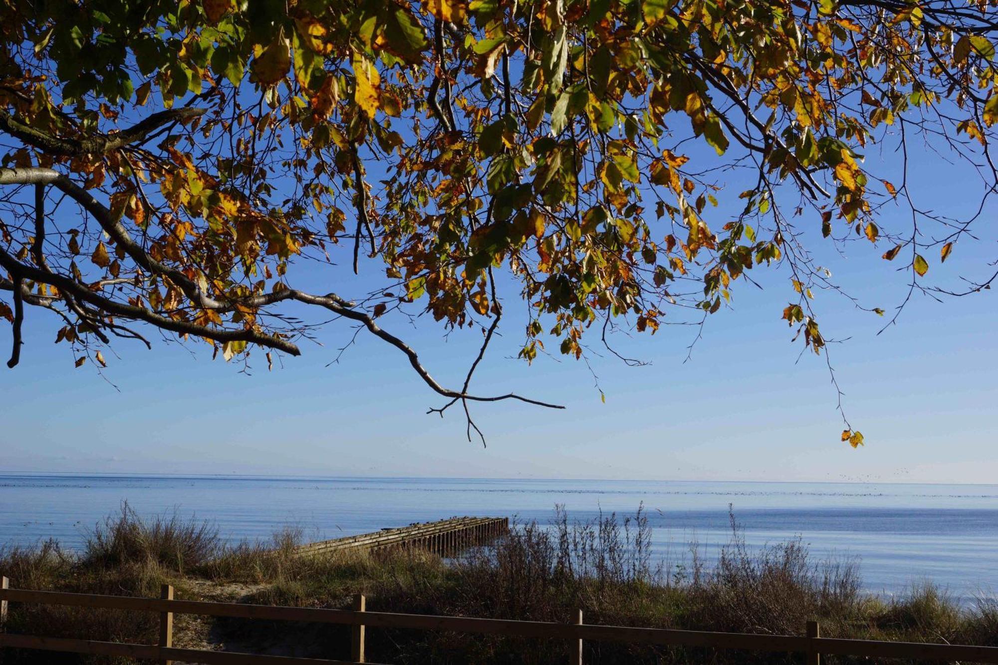 Ystad Camping Exterior foto